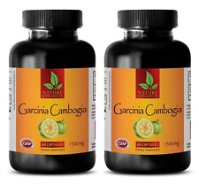 100% Pure Garcinia Cambogia 1300mg - Weight Loss Plan Diet - 60% HCA - 2 Bottles