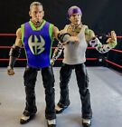 Wwe Mattel Ultimate Edition Hardy Boyz Custom Figures