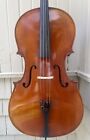4/4 Eastman Pietro Lombardi  VC502 cello