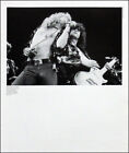 LED ZEPPELIN POSTER PAGE . 1975 EARLS COURT LONDON CONCERT . 1Q12