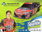 2008 Jeff Gordon Sparkle Chevy Impala NASCAR postcard