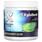 Xylitol Gum, Peppermint, 100 Pieces, 5.29 oz (150 g)