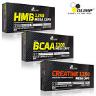 HMB + BCAA AMINO ACIDS + CREATINE MONOHYDRATE - Powerful Muscle Growth Combo Set