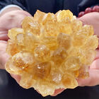 467G yellow Phantom Quartz Citrine Crystal Cluster Mineral Specimen Healing