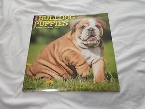 Just Bulldog Puppies 2022 Wall Calendar by Willow Creek Press