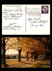 New ListingMayfairstamps US 1950s Paw Paw to Chicago IL Fall Leaves Postcard aaj_62869