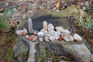 Rock Collection Lot, Mineral Estate, Crystal Skull Carving Tower Petoskey Fossil