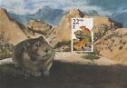 Pika Fauna World Wildlife Canada USA Art Mint Minnesota Maxi Card FDC 1987