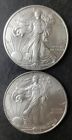 2009 and 2010 $1 American Silver Eagle Dollars