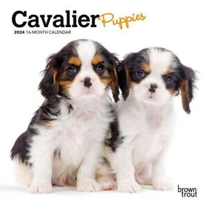 Browntrout,  Cavalier King Charles Puppies 2024 Mini Wall Calendar