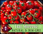 780+ Tomato Seeds [Large Red Cherry] Vegetable Gardening Seed, Heirloom, Non-GMO