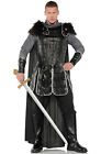 Warrior King Renaissance Knight Men Adult Costume