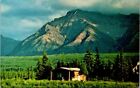 Homestead Cabin at the Foot of a Mountain in Alaska Vintage Postcard