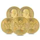 Lot of 5 - 2024 1 oz Canadian Gold Maple Leaf $50 Coin BU