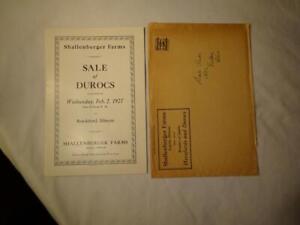 1927 ROCKFORD ILLINOIS DUROC SOW HOG PIG SALE CATALOG BROCHURE/MAILER Minty