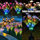 Solar Garden Lights Outdoor Waterproof  LED Flower Stake Lamp Yard Patio Decor