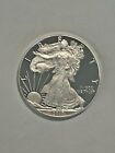 New Listing2017 Walking Liberty American Eagle One Silver Dollar DCAM