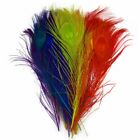 10-100 Pcs Colour Peacock Feathers Eyes 25-30CM/10-12Inch DIY Wedding Home Plume