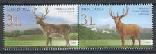 Moldova 2008 Fauna Animals Deer Joint Issue with Kazakhstan 2 MNH stamps