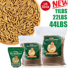 LOT Bulk Dried Mealworms Non-GMO for Wild Birds Food Blue Bird Chicken Hen Treat