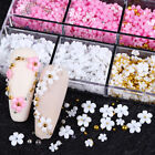 ✽ 6 Grids Resin Flowers Acrylic Petals Nail Rhinestone Kit For Manicure Nail Art