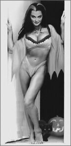 Lily Munster Halloween Black And White 8x10 Picture Celebrity Print