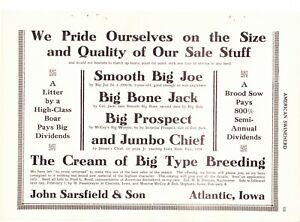 1919 American Swineherd Hog Sale Ads ~ Atlantic & Clarinda & Hepburn IA