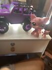 LPs Jumbo Cat With Jeep And Pink Destiny Cat