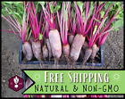 550+ Beet Seeds [Cylindra] Vegetable Gardening, Seed Packet, Heirloom, Non-GMO