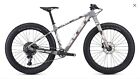 2019 Specialized Comp Carbon Fatboy Large