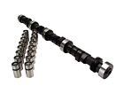 Pontiac 350 400 428 455 1967-79 Cam+Lifters Kit 068HL 268H Performance Camshaft  (For: More than one vehicle)