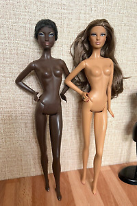 Lot of (2) Barbie model muse dolls