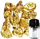 15 PIECE ALASKAN NATURAL PURE GOLD NUGGETS WITH BOTTLE FREE SHIPPING (#B250)