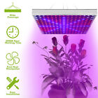 1000W LED Grow Light Panel Full Spectrum Grow Lamp for Indoor Plant Veg Flower
