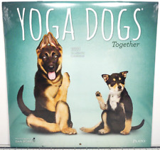 Yoga Dogs Expired Wall Calendar 2021 Photo Collection Dan Borris 12
