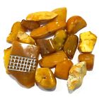 Genuine Butterscotch Baltic Amber Chunks Large Pieces Beautiful Colors Set 115 g
