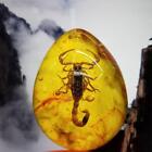 Insect Stone Scorpions Inclusion Amber Resin Baltic Pendant Decoration S9C0