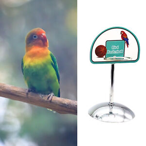1 Set Bird Toy Round Base Develop Intelligence Pet Bird Parrot Basketball Game