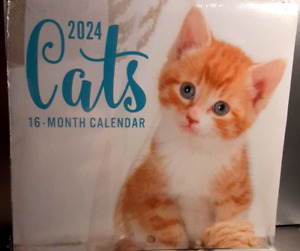 2024 Cats Mini Wall Calendar 5.5