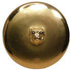 Large Antique Stamped & Gilt Brass Pug Dog BUTTON Rolled Rim NICE 1&1/2