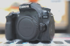 Canon EOS 80D 24.2 MP Digital SLR Camera (Body Only)