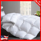 All Season Down Duvet Insert Luxurious Hotel Bedding 100% Cotton Cover Twin Size