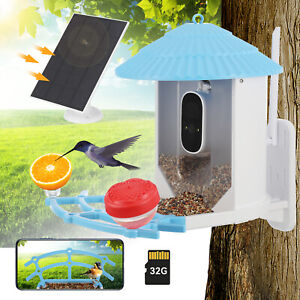 Smart Bird Feeder with Camera Solar Powered - Wireless Outdoor Bird Auto Captura