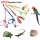 Parrot Bird Leash Adjustable Harness Pets Anti Flying Outdoor Training Lead Rope