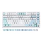 YZ75 75% Hot Swappable Wireless Gaming Mechanical Gateron G Pro Brown Mint