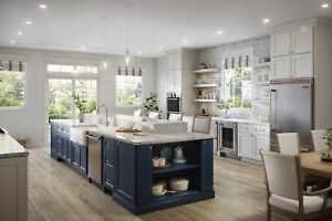 RTA Wood 10X10 Modern Shaker Nany Blue Kitchen Cabinets Lifetime Warranty