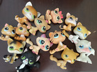 Littlest pet shop used lot of 13 cats