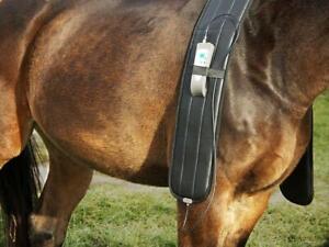 PEMF HORSE EQUINE SHOULDER WRAP PULSED ELECTROMAGNETIC FIELD INJURY HEALTH TREAT
