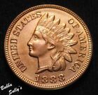 1888 Indian Head Cent UNC Details Cleaned/Enhanced Surface SEE DESCRIPTION