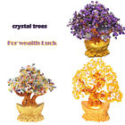 Crystal Money Tree Luck Bonsai Feng Shui Tree Wealth Luck for Office Home Decor